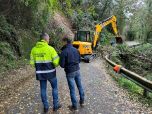 Lavori per la rimozione di una pianta caduta sulla Strada Provinciale 10 per Tenerano