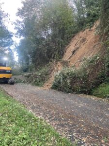 Lavori per la rimozione di una pianta caduta sulla Strada Provinciale 10 per Tenerano