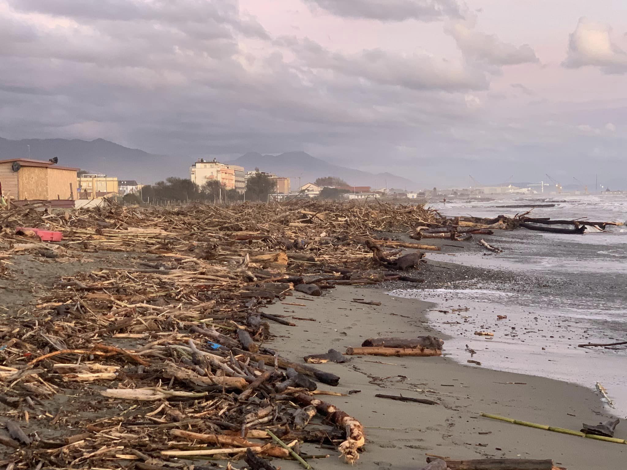 Legname e rifiuti sulle spiagge: gli effetti della piena alla foce del Magra Legname e rifiuti sulle spiagge: gli effetti della piena alla foce del Magra