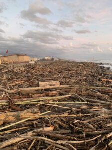 Un immagini dei detriti portati dal Magra sulla spiaggia di Marinella