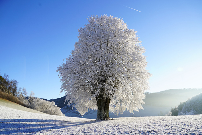Solo tenui e fugaci segnali d’inverno Solo tenui e fugaci segnali d’inverno