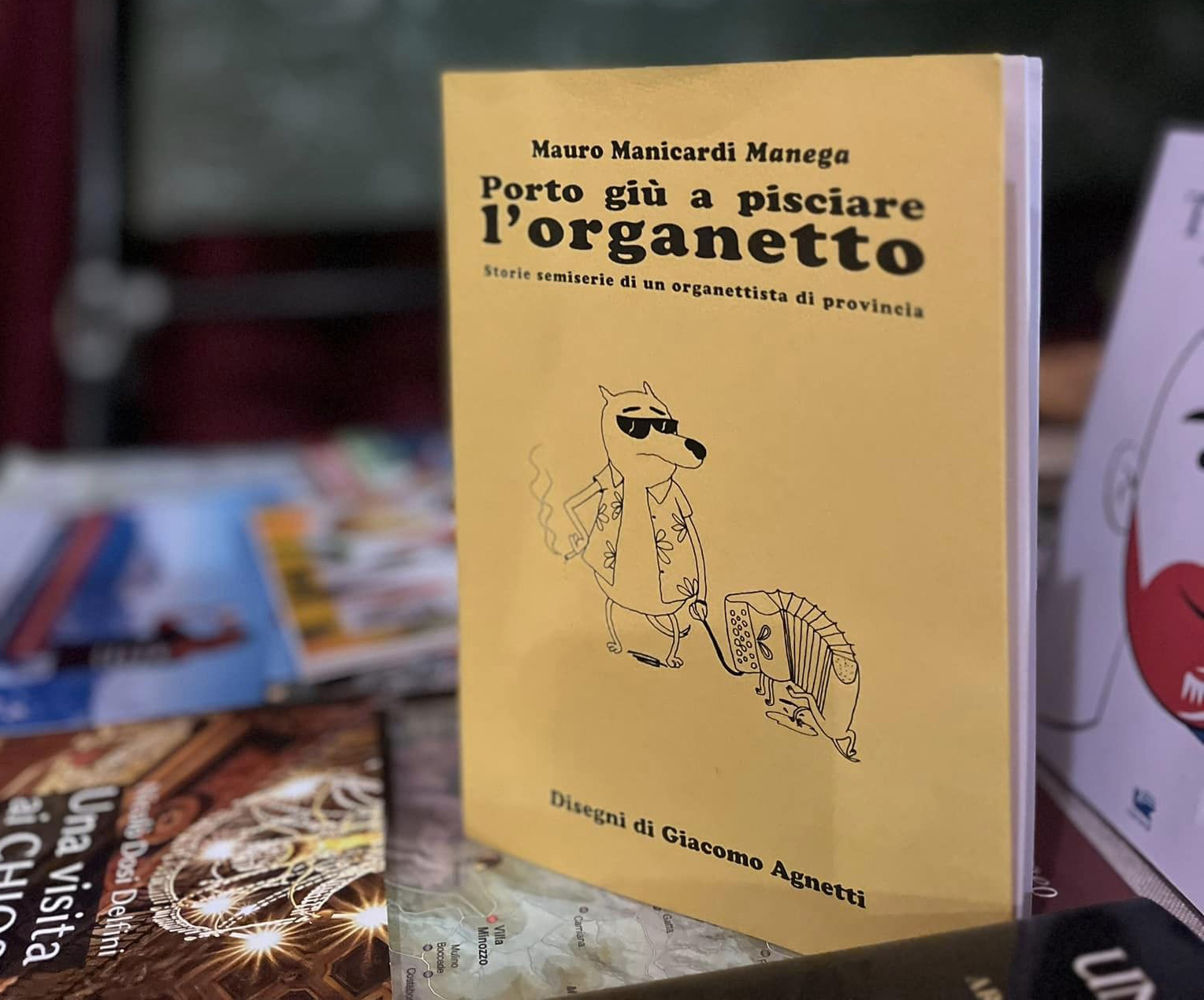 Mauro Manicardi, storie semiserie di un organettista di provincia
