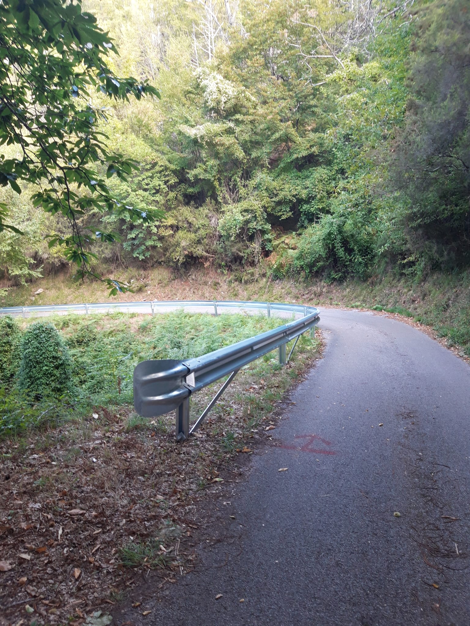 Nuovi guardrail, reti paramassi e segnaletica sulla strada per Zeri Nuovi guardrail, reti paramassi e segnaletica sulla strada per Zeri