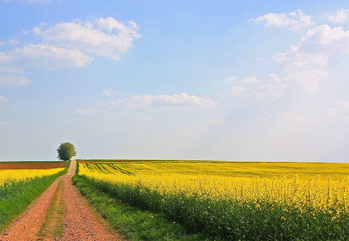 Aprile e uno scorcio di maggio Aprile e uno scorcio di maggio