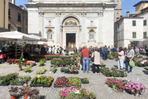 Bancarelfiore 2024 (Foto Walter Massari)