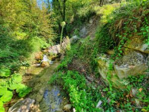 Il fosso del Borrello a Casola
