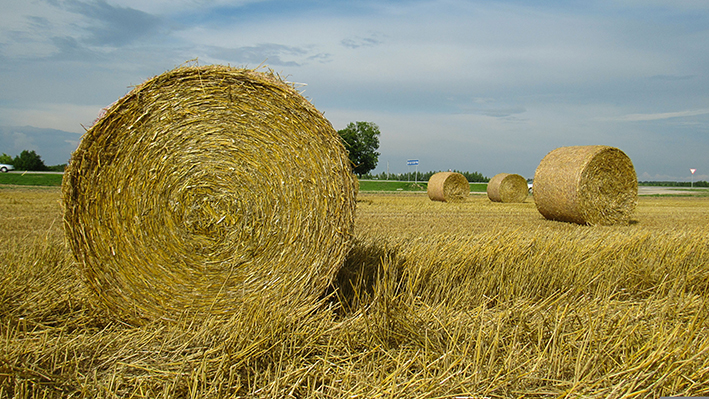 Un primo assaggio d’estate Un primo assaggio d’estate