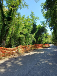 La strada Provinciale del Bratello