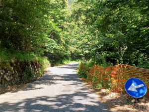 La strada Provinciale del Bratello