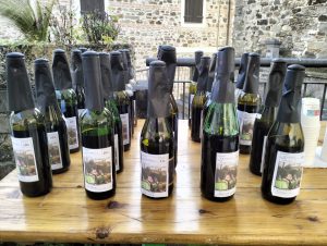 Alcuni dei vini che partecipato alla manifestazione