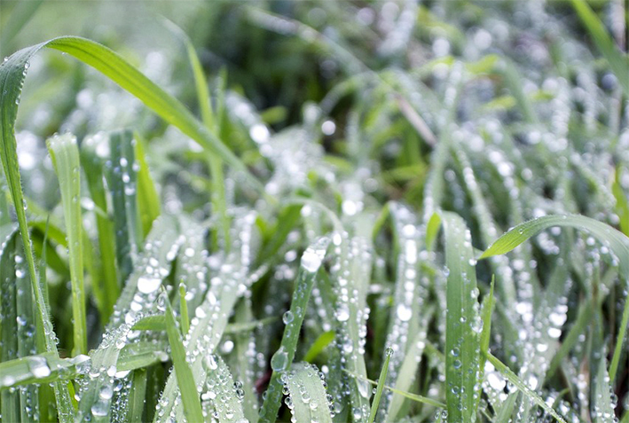 Marzo fedele al “double face”