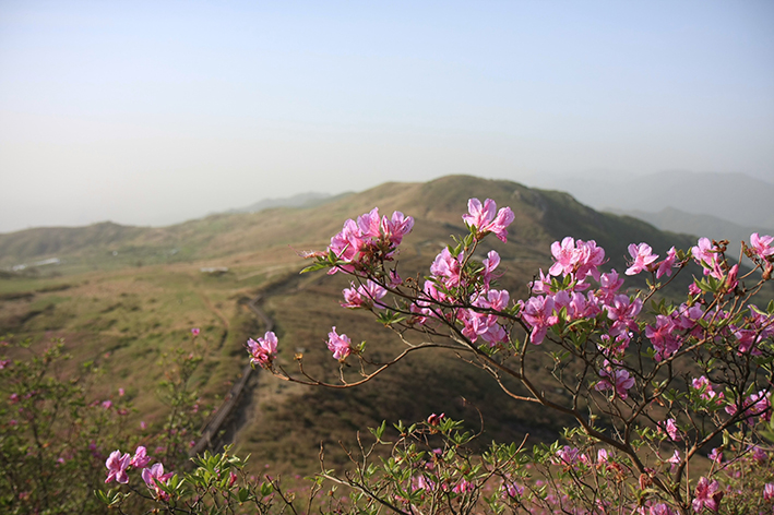 Marzo e aprile, un meteo sfavorevole ai proverbi Marzo e aprile, un meteo sfavorevole ai proverbi