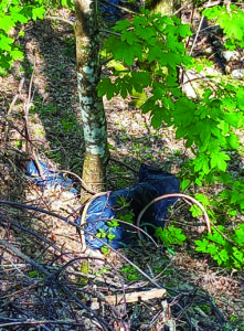 Alcuni rifiuti trovati a nella zona della Cervara