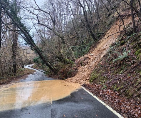 Obbligo di manutenzione dei terreni confinanti con strade provinciali Obbligo di manutenzione dei terreni confinanti con strade provinciali