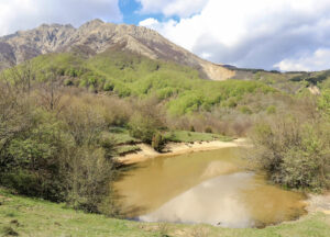 Un’area umida a monte di Camporaghena(foto Lunigiana World)