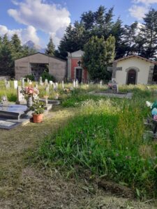 L'erba in un cimitero nel comune di Casola