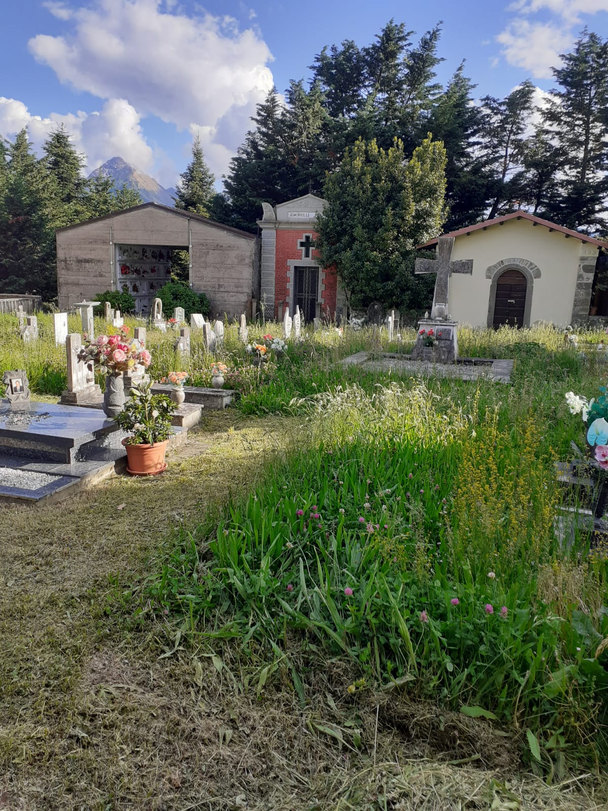 La manutenzione dei cimiteri a Casola accende una vivace querelle