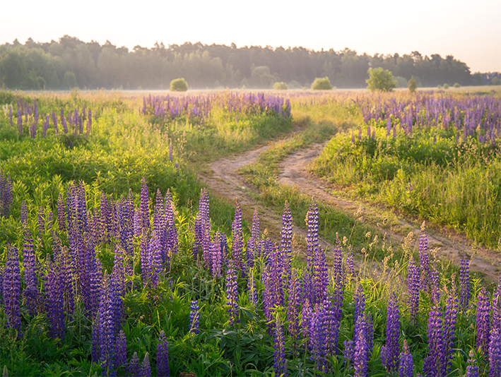 Verso i primi ‘ruggiti’ estivi di giugno