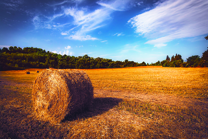 Un po’ di sollievo dopo la gran calura