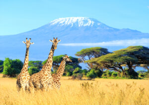 Il fascino paesaggistico e naturale del Kenya, che attrae anche i turisti lunigianesi