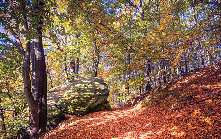 Tepore diurno e freddo notturno