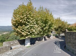 I platani all'ingresso del borgo di Filattiera