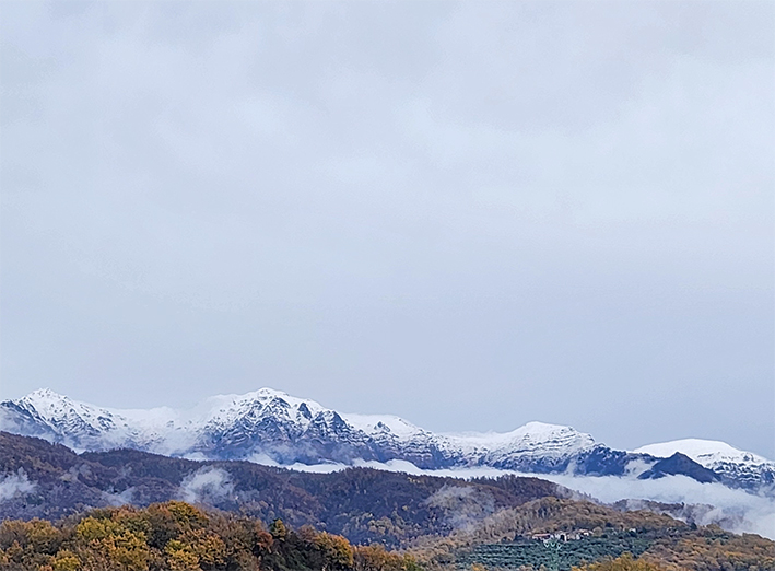 Novembre chiude… in ‘negativo’