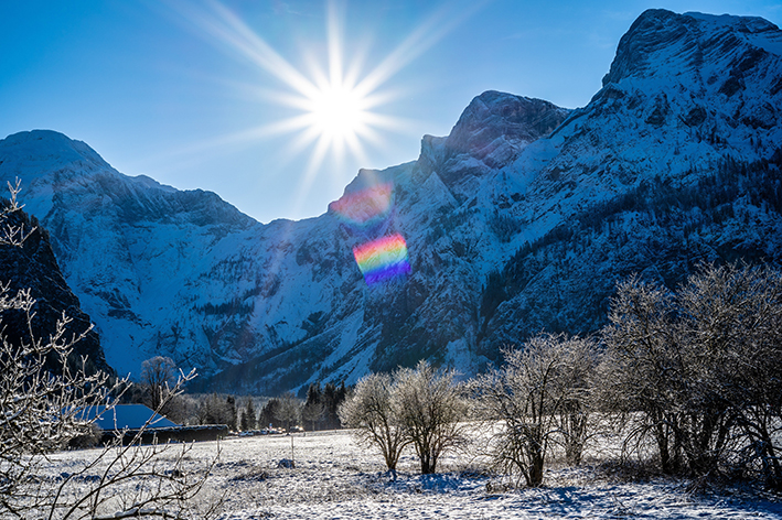 Il ‘fallimento’ di gennaio