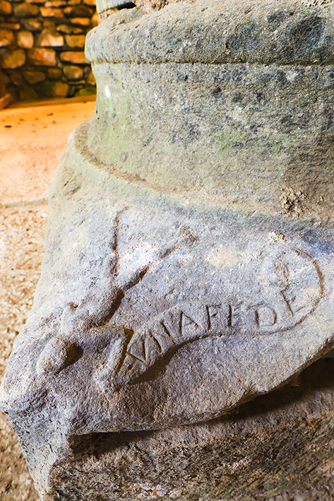 Una salamandra e una rana nelle  chiese di Mulazzo