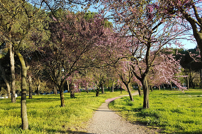 Si riaffacciano le piogge