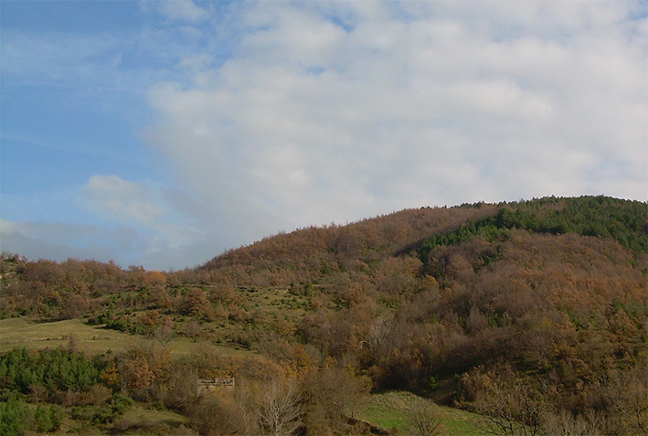 I cento e più ‘capricci’ di marzo