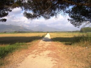 Tenuta di Marinella (Foto Gabriele Bartolucci)