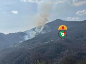 Il recente incendio nei boschi di Zeri