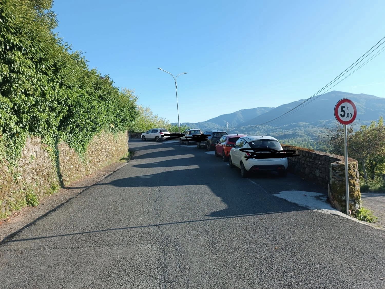 Alberi e parcheggi, scontro a Filattiera