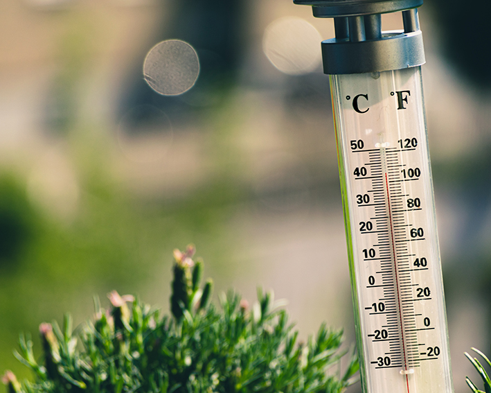 Previsioni valide dal 24 al 30 giugno.