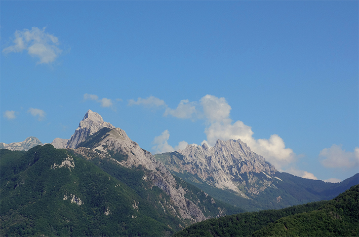 La rovente pagella di giugno