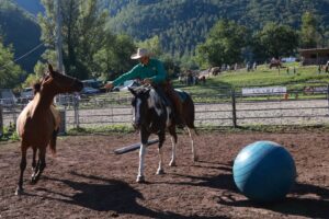 Un momento di Comano Cavalli (foto Lunigiana World)